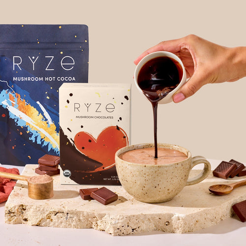 Chocolate Indulgence Bundle H6