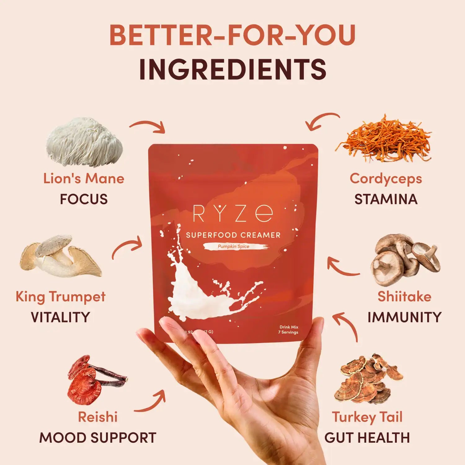 Pumpkin Spice Superfood Creamer Add-On (SPECIAL PRICING) P8