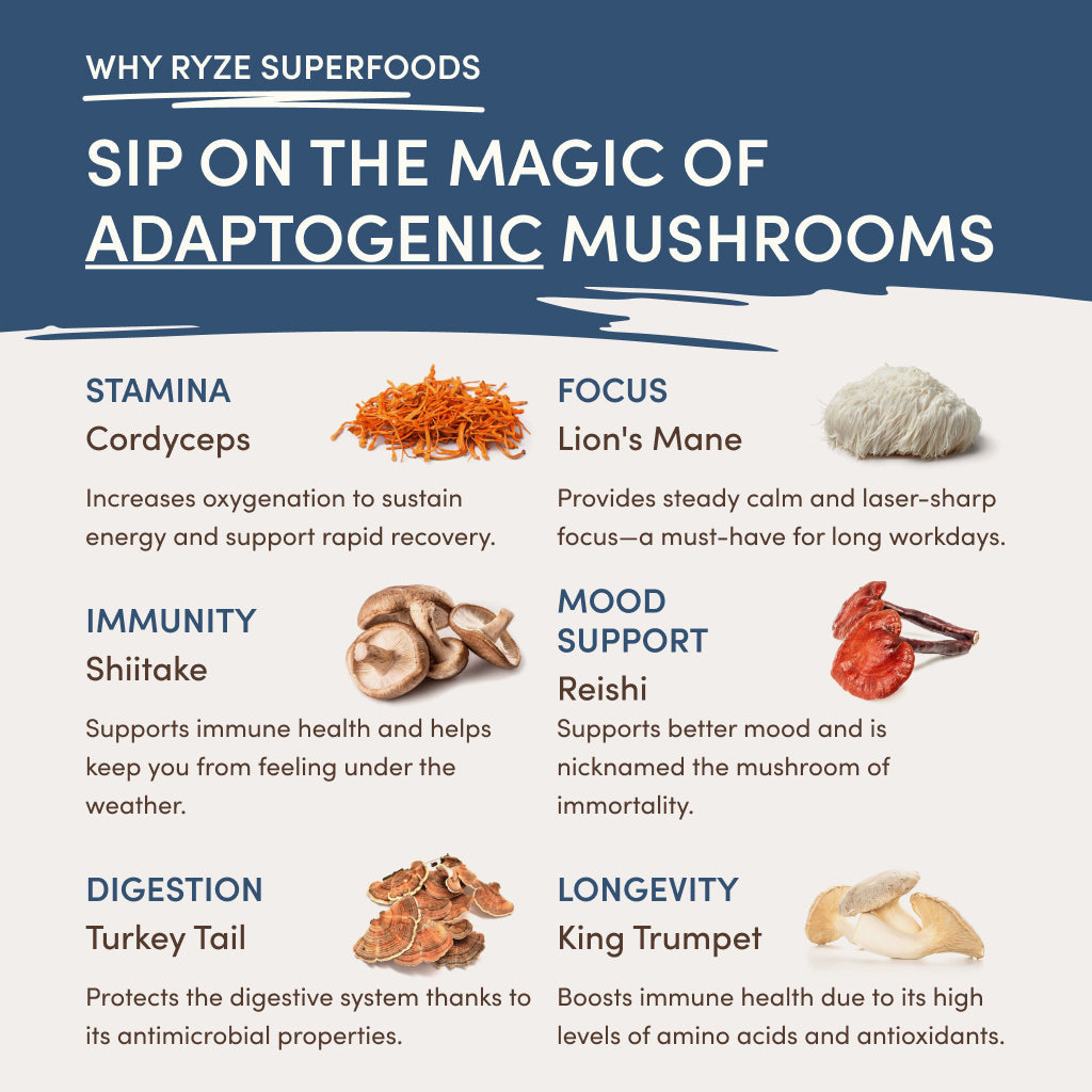 RYZE Nighttime Mushroom Cocoa Starter Bag T7