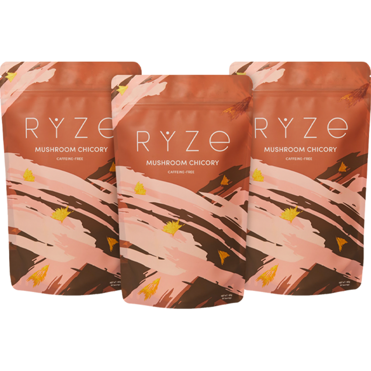 Mushroom Chicory (3 Month Upgrade) L2