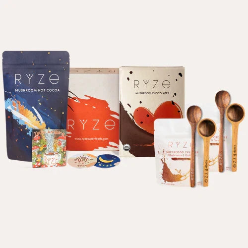 Chocolate Indulgence Bundle H6