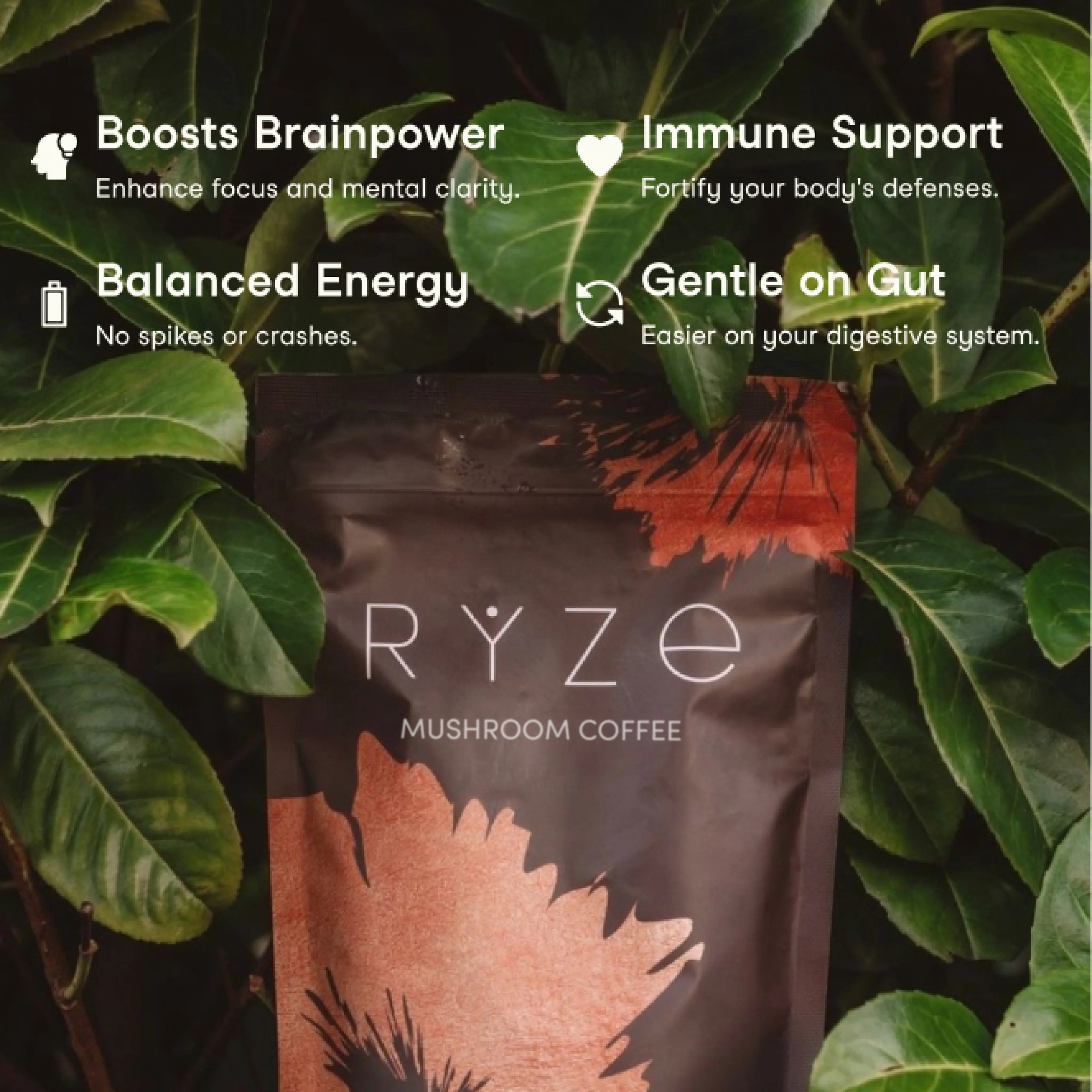 RYZE Mushroom Coffee — Organic Instant Coffee with Cordyceps & Reishi, 30 Servings J8