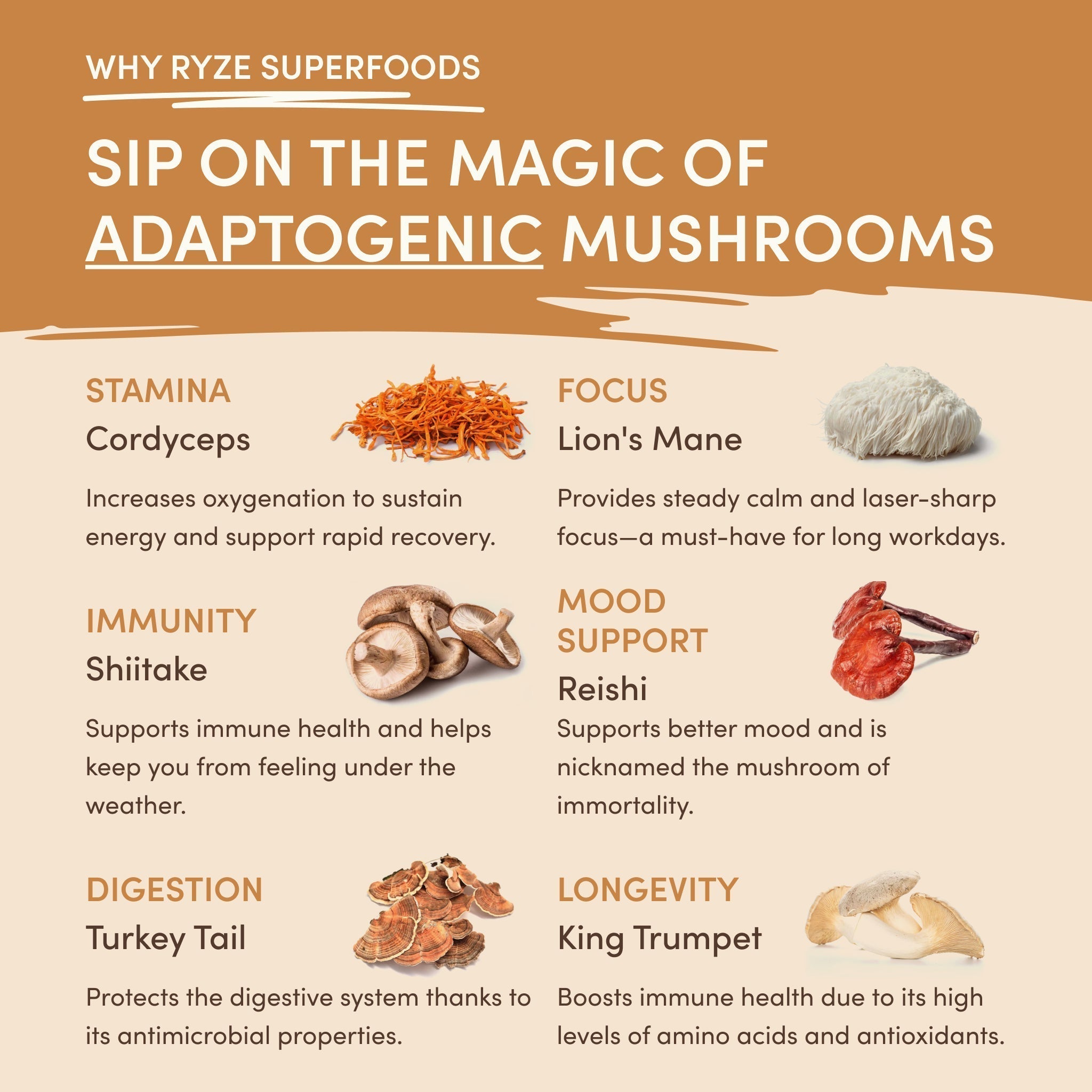 Mushroom Overnight Oats (14 Servings) L5