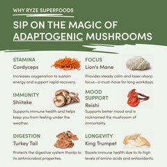 RYZE Mushroom Matcha — Organic Instant Matcha Latte with Lion's Mane & King Trumpet, 30 Servings T4