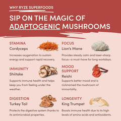 Mushroom Chai (20 Servings) S2