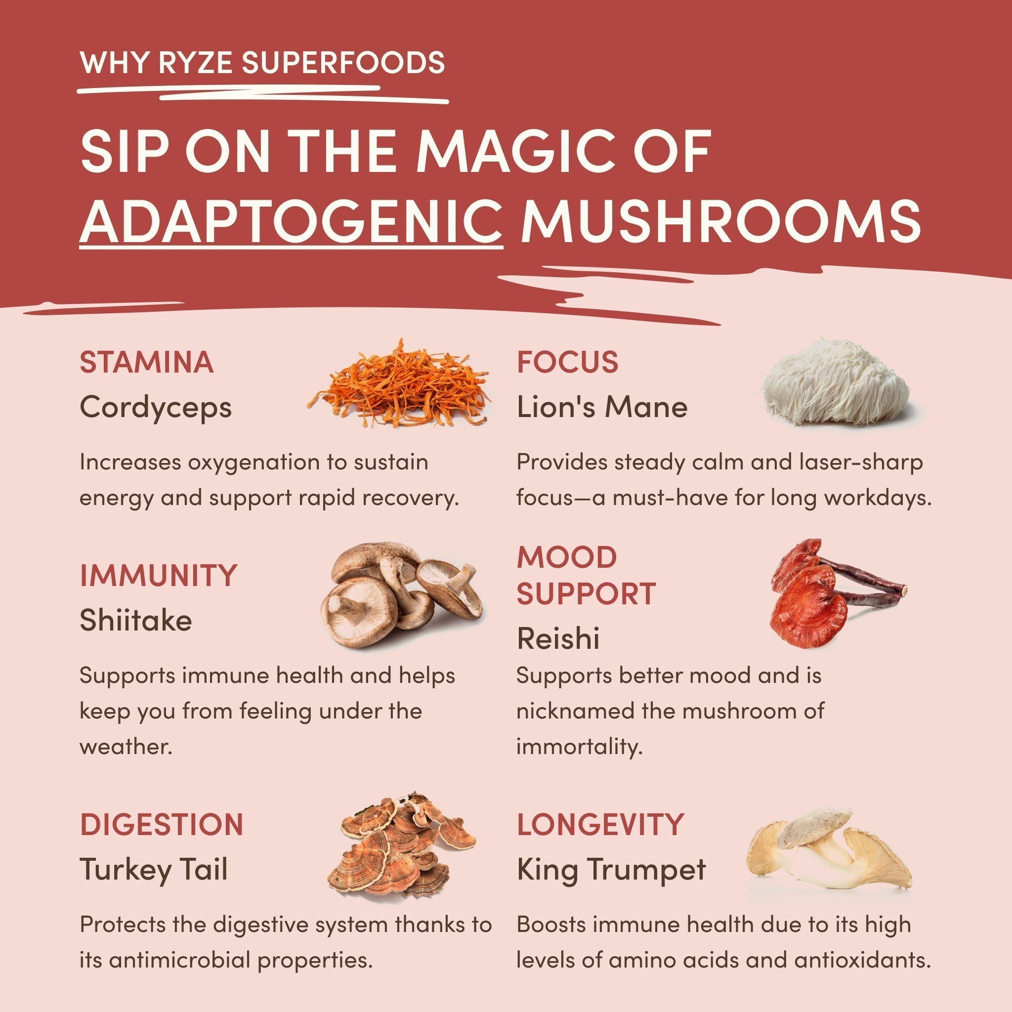 RYZE Mushroom Chai — Organic Instant Chai with Reishi & Organic Black Tea, 20 Servings W7
