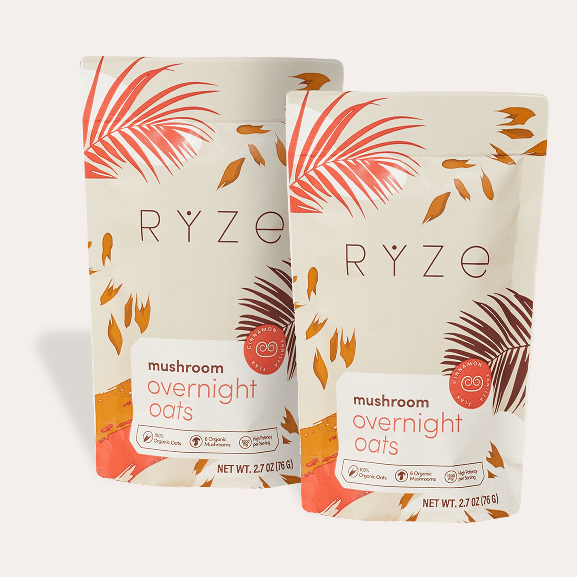 Mushroom Overnight Oats Pack (28 Servings) I7