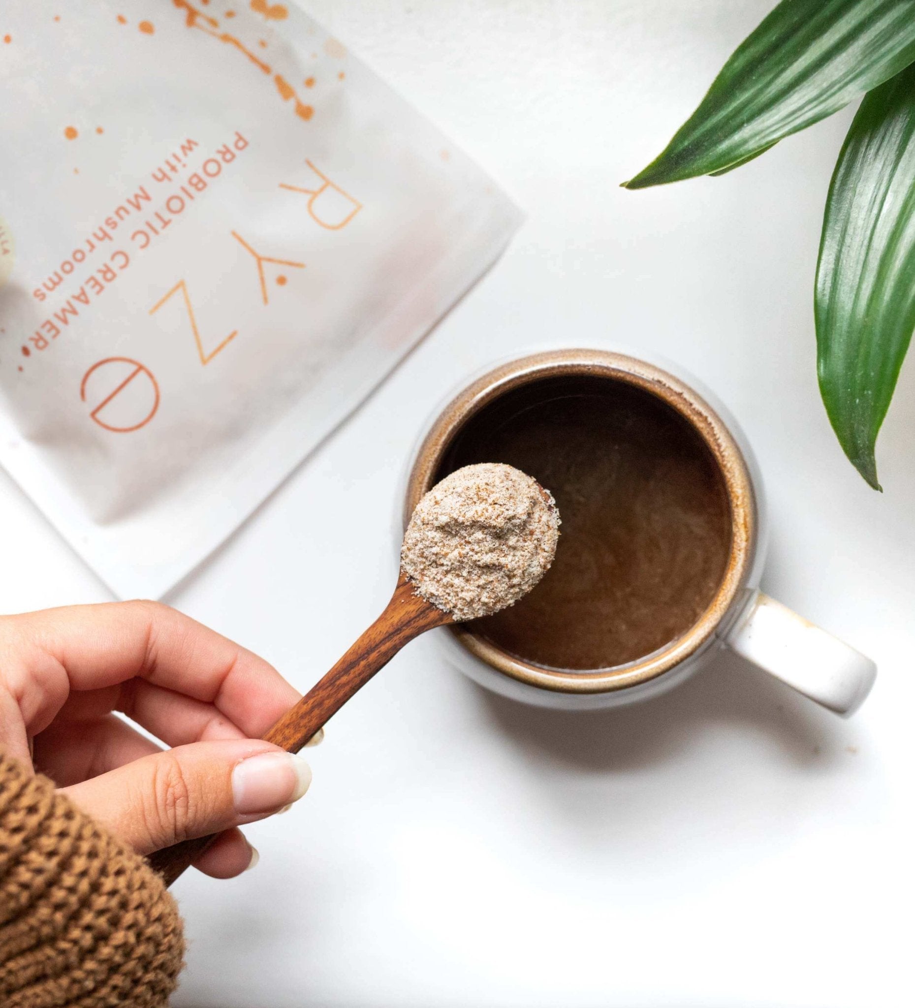 Probiotic Creamer: 30 Servings H3