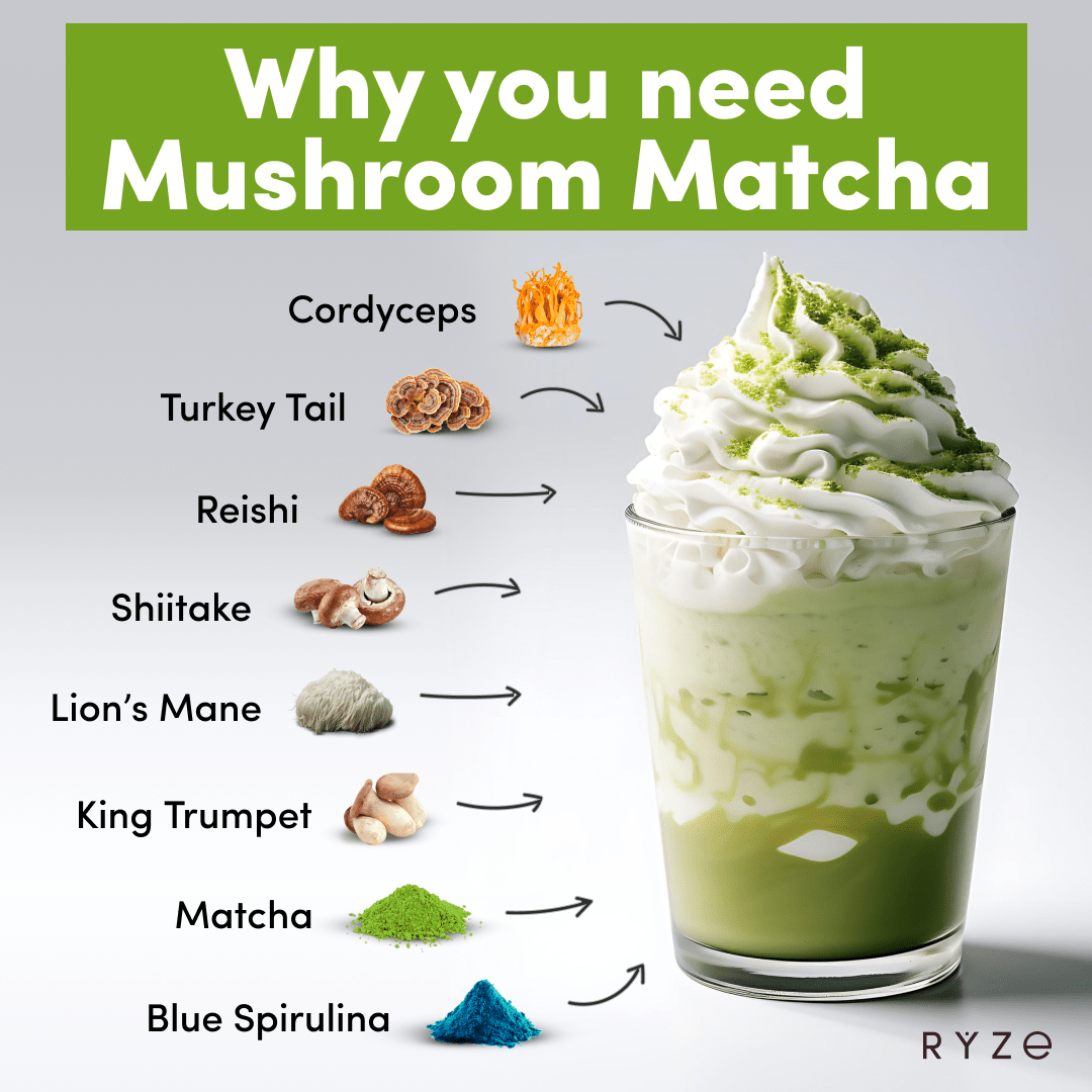 RYZE Organic Mushroom Matcha Starter Kit (60 servings) G0