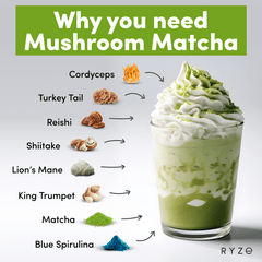 RYZE Organic Mushroom Matcha Starter Kit (60 servings) G0